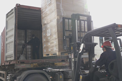 MPN1614 Door Lever Lock